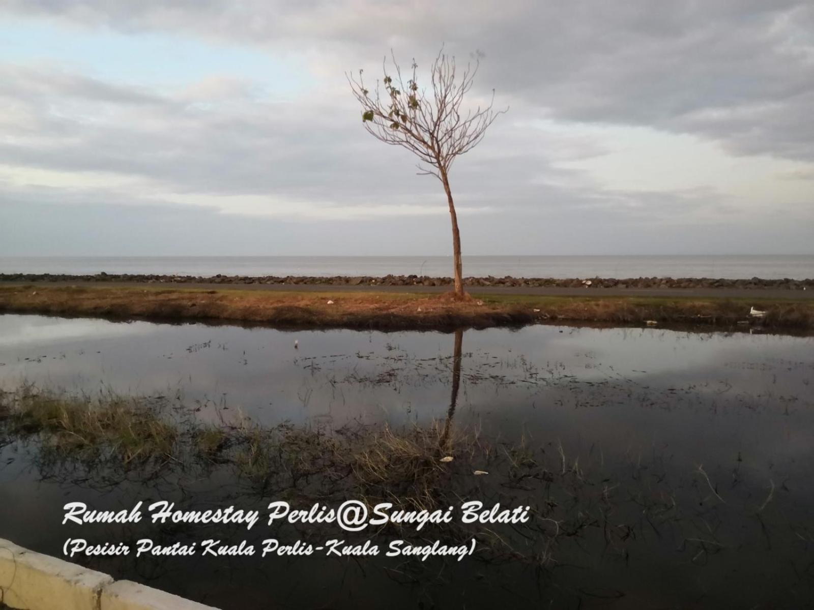 Вилла Rhumah Sungai Belati Simpang Empat  Экстерьер фото