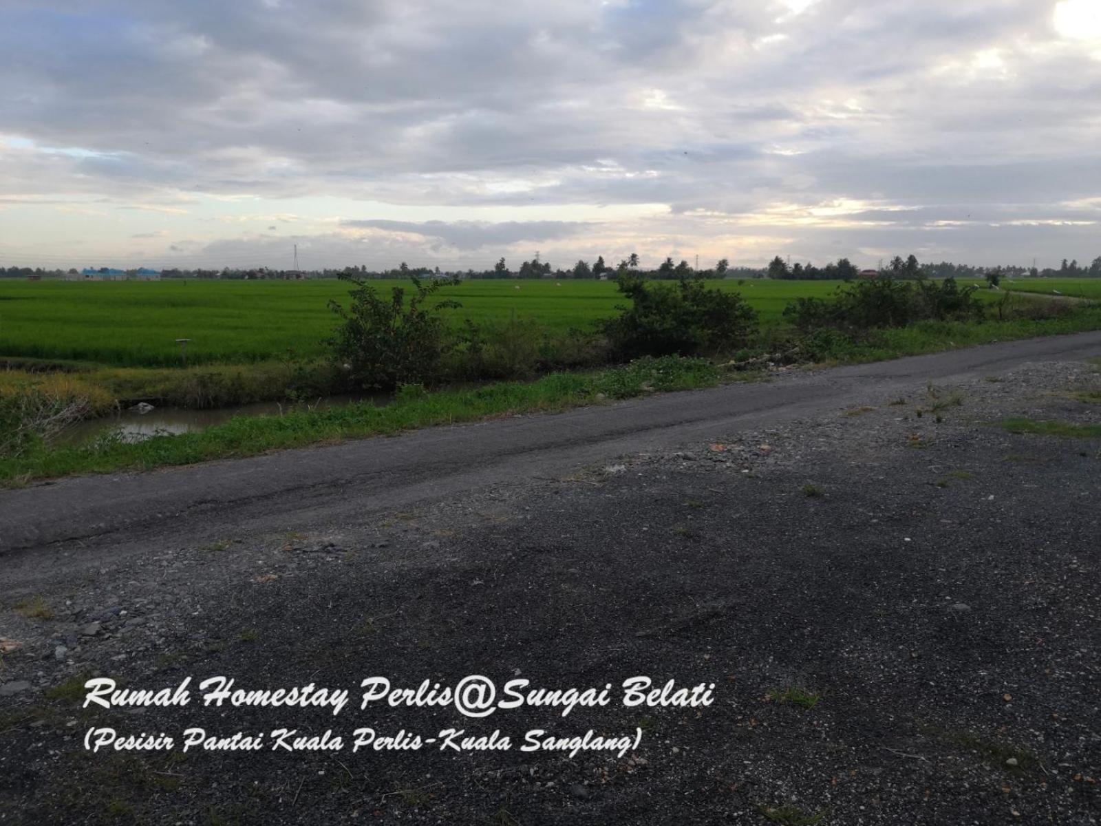 Вилла Rhumah Sungai Belati Simpang Empat  Экстерьер фото